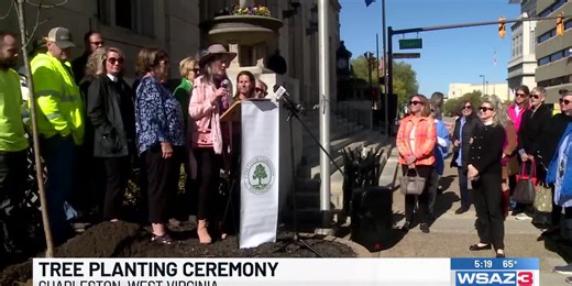 Tree planting ceremony