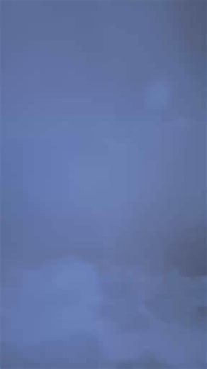 Mačkica baco kennel Time for training | TOP APBT WORLD