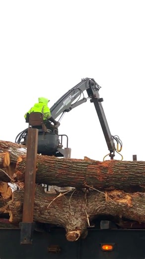 Tree takedown compilation. Which knockout is your favorite? 🌲❌