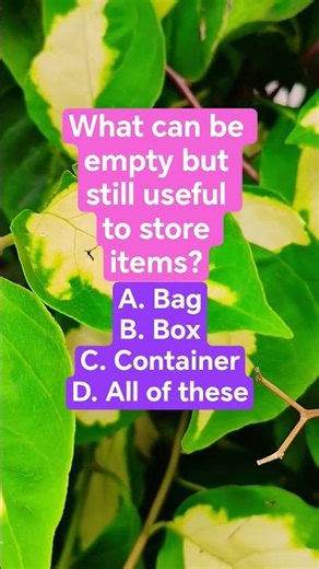 What can be empty but still useful to store items?