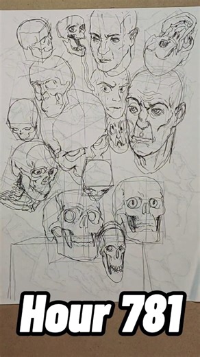 Hour 781 of learning to draw and paint