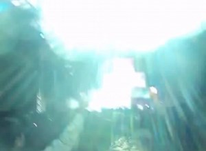 Metagenesis 7 Orca - Sad Movies | RAVE BAND