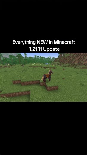 "Mojang Gave HORSES Netherite Armour "💀 | Minecraft 1.21.11 MineVerse