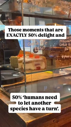 I stream COMPLETELY FREE lessons for home educators and home schoolers on Facebook and YouTube. Even the (optional) print outs are free. I research and plan for days to engage your children’s brains and inspire them to embrace the world around them. But this isn’t that. This is my Instagram account. #homeeducation #freelessons #homeschool #freehomeschoolresources | Theatre of Science