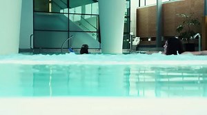 5.1K views · 156 reactions | Spa, camera, action! Thanks to...