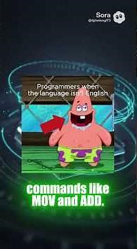 How the first programming language was created!