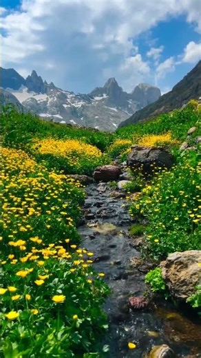 KOBANÊ - Stranen Kurdi #kurdishmusic #kobanê #nature