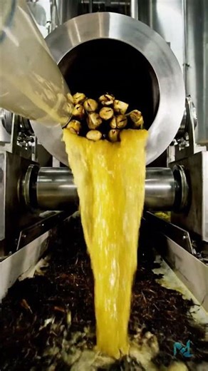 Inside a Modern Sugar Factory | Full Video in Description 🩷💚 #shorts