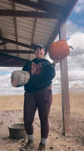 19 more pumpkins delivered just now! 🎃 Thank you Jesse and Jennica, Jason and Kelly and the Beam Family! We’ve still got pumpkins going out this evening, stay tuned! | Iowa Farm Sanctuary