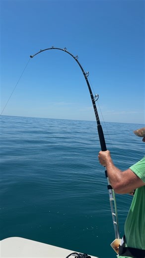 844K views · 14K reactions | CATCHING The Largest Fish in The World! #Fishing #FIsh #O#oceanlife | RAWWFishing | Facebook