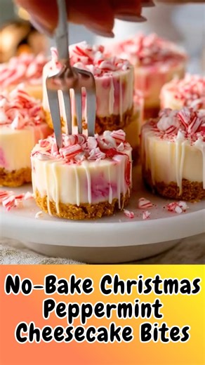 30K views · 179 reactions | No-Bake Christmas Peppermint Cheesecake Bites : Creamy, Minty & Perfectly Festive - Bite-Sized No-Bake Peppermint Cheesecakes Dipped in Holiday Magic! | Tasty Gastronomic | Facebook