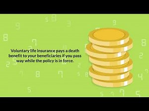 Benefits 101: What is Voluntary Life Insurance? by The Enterprise Team