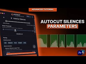 How to set AutoCut Silences parameters ? (Premiere Pro & DaVinci)