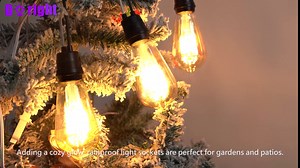 12 Pcs Light Bulb Socket E26 Lamp Socket Black Pigtail Lamp Holder Light Socket with Cord for Temporary Light DoRight Bulb Sockets for Outdoor Garden Patio DIY Lighting,110-250V, 4A, 60W Max