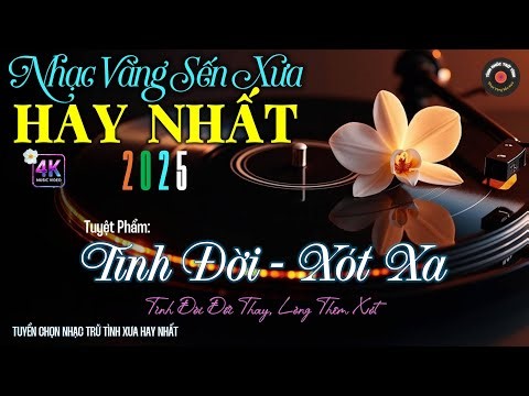 Nhạc TÌNH CA BOLERO Trữ Tình HAY NHẤT, ĐỘC LẠ 2025 - Nhạc Vàng Sến Xưa Chọn Lọc CỰC DỄ NGHE & ÊM TAI