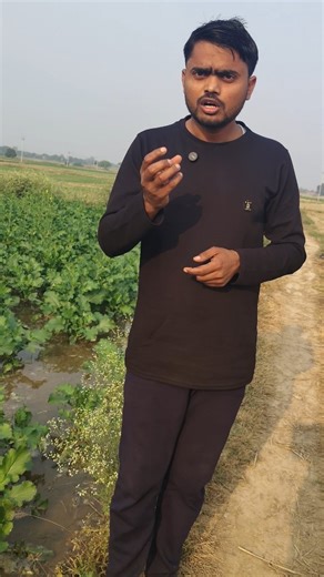 #botany #photosynthesis #plant #biology | Vishal Sharma