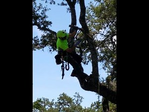 Plain and Simple SRT