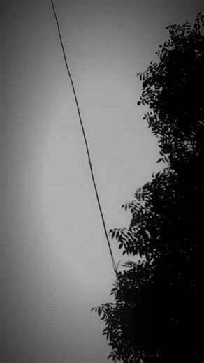 #onthisday #CapCut #foryoupageofficiall #ziddiqueen #foryoupage #just #dwv #virql__video #unfreezemyacount #onthisday😍😘💯👑♥️ #supportmyaccount♥️🙃 #support_me