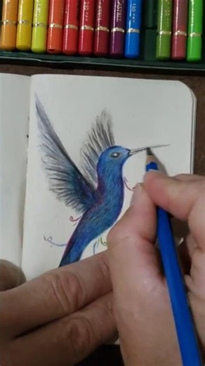 How to draw a hummingbird #drawing #art