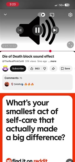 Die of death block sound ‪@TheRealPinkCat6‬