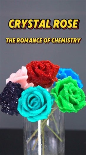 Mi Wu on Instagram: "Crystal roses growing from beakers? Let’s experience the romance of chemistry together #scienceexperiment #flowers #fyp"