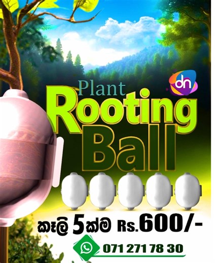 අතු ඉති ලේසියෙන්ම මුල් අද්දවගන්න Rooting Ball 5 ක්ම වෙන්නෙ රු.600 ක් විතරයි, ඒ වගේම තමයි මේ Rooting Ball එක නැවත නැවතත් පාවිච්චි කරන්න පුළුවන් නිසා හැමදාටම ඉතා ප්‍රයෝජනවත් උපකරනයක්. අතු කප කප කොච්චර හිටෙව්වත් පැළවෙන්නෙ නැති එකට 100% ක් හරියටම හරියන විසදුම වගේම මෙය දියුනු රටවල දරුවන්ගේ අධ්යාපනයට සහ මානසික වර්දනය වෙනුවෙන් පවා යොදාගන්නා වටිනා නිශ්පාදනයක්, 📲 ඇනවුම Whatsapp කරන්න : 0712717830 * භාණ්ඩ ලැබුනු පසු මුදල් ගෙවීම් හැකියාව. * සෑම නිශ්පාදනයක්ම ඉතා සුරක්ෂිතව ප්‍රවාහනය කරනු ලැබේ. * ඇණවුම් කිරී