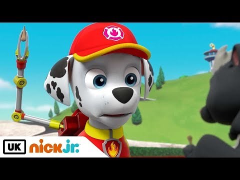 Paw Patrol | Pups Get Skunked | Nick Jr. UK