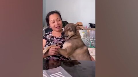 When your dog refuses to grow up and keeps you laughing