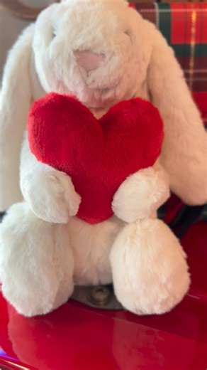 The LaFontaine Automotive Group Holiday Giving Program is happening now! ♥️🗳️ We are so grateful to be a part of this gracious campaign this giving season… our volunteers set up our Christmas tree this week at LaFontaine Classic Cars in Milford; 1 of 12 dealerships here in Michigan who will be showcasing various nonprofits and their trees to display and help promote causes! Your vote makes a difference! Head to www.familydeal.com/holiday-giving to learn more and vote for us now through December