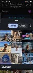 AI PET IMAGE EDITOR