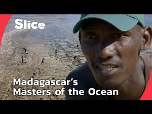 The Vanishing World of the Vezo Fishermen: Life Aboard the Laka Canoe | SLICE | FULL DOCUMENTARY