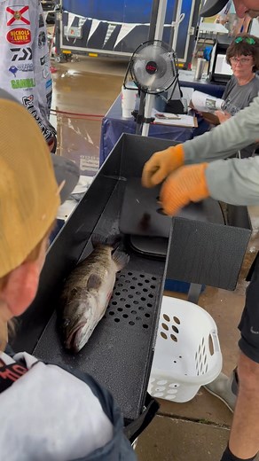 Megan Kyle Brown on Reels