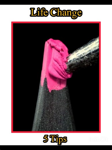 5 Tips for Life Change You Need to Know