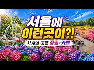 서울에 이런곳이?! 서울 꽃축제 꽃구경 추천ㅣ황금연휴 가볼만한곳ㅣ사계절 꽃정원과 식물카페ㅣ서울 감성카페 숨은 명소ㅣ서울 여행지 추천ㅣ서울 가볼만한곳