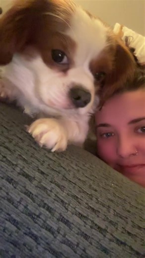 My best friend, my best boy #dog #bestfriend #souldog #dogmum #dogs