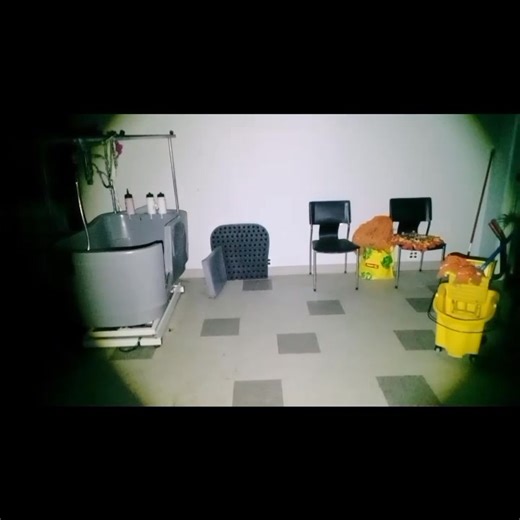 L'animalerie partie finale -------------------------- Lieu hanté...