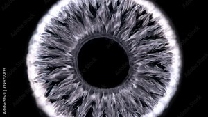 Ferrofluid or ferromagnetic fluid under the influence of sound waves (cymatics), begins to vibrate randomly, creating unusual patterns, close-up