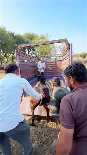 पापा ने बहुत ग़लत किया || 🥹💔🥲#shorts #minivlog #youtubeshorts #viralshort #trendingvideo