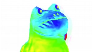 【国外鬼畜】魔性的彩虹蛙之舞（Rainbow Frog Dances）