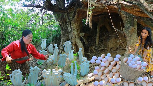 Mother find cricket meet egg and mushroom- Fried mushroom with egg recipe- eating delicious | Primitive HD
