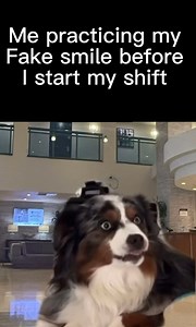 1.5M views · 21K reactions |  | Funny Work Memes | Facebook