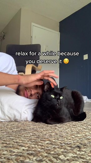 Zach Pines on TikTok