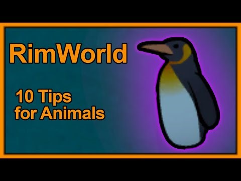 [𝗥𝖎𝖒𝗪𝛐𝗿𝐥𝗱] 10 Tips for Animals