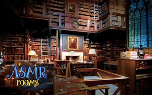 【授权转载】哈利波特ASMR-霍格沃兹图书馆-Harry Potter ASMR - Hogwarts Library