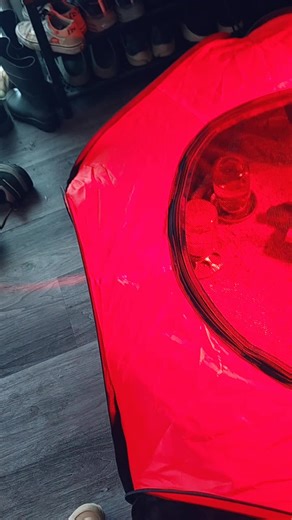 Checking on the baby chicks