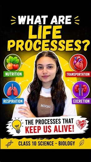￼ What are life processes? Explained.✅#science #class10 #cbseboard #cbse