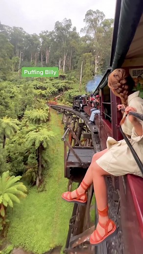 All Aboard the Puffing Billy: A Scenic Train Ride in Melbourne