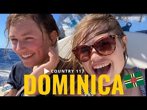 Dominica's INCREDIBLE Whale Watching 🐋 12 Whales in One Day!