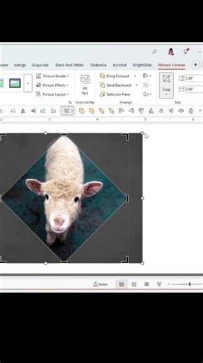 Fitting Images to Shapes in PowerPoint