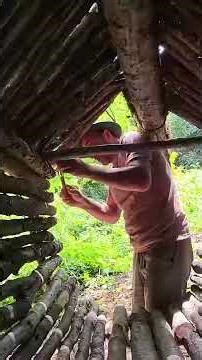 3 Days Solo Bushcraft Camping Bird Nest Like Shelter Building